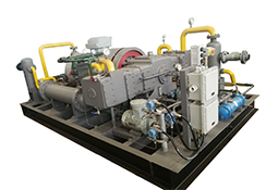 Biogas compressor